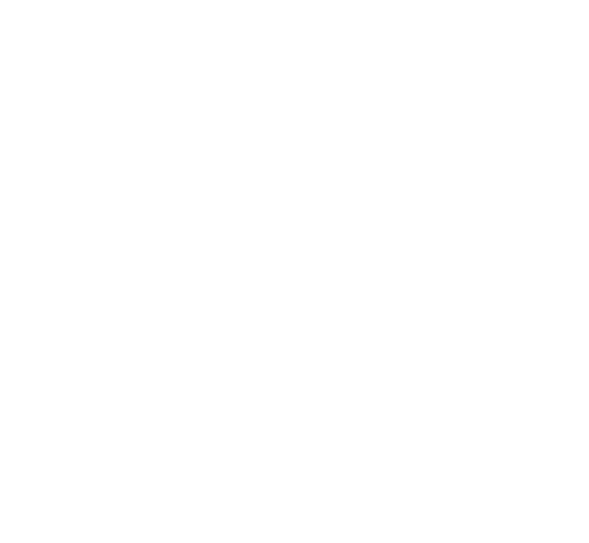 Logo Didi Sign Beschriftungsdesign und Werbetechnik